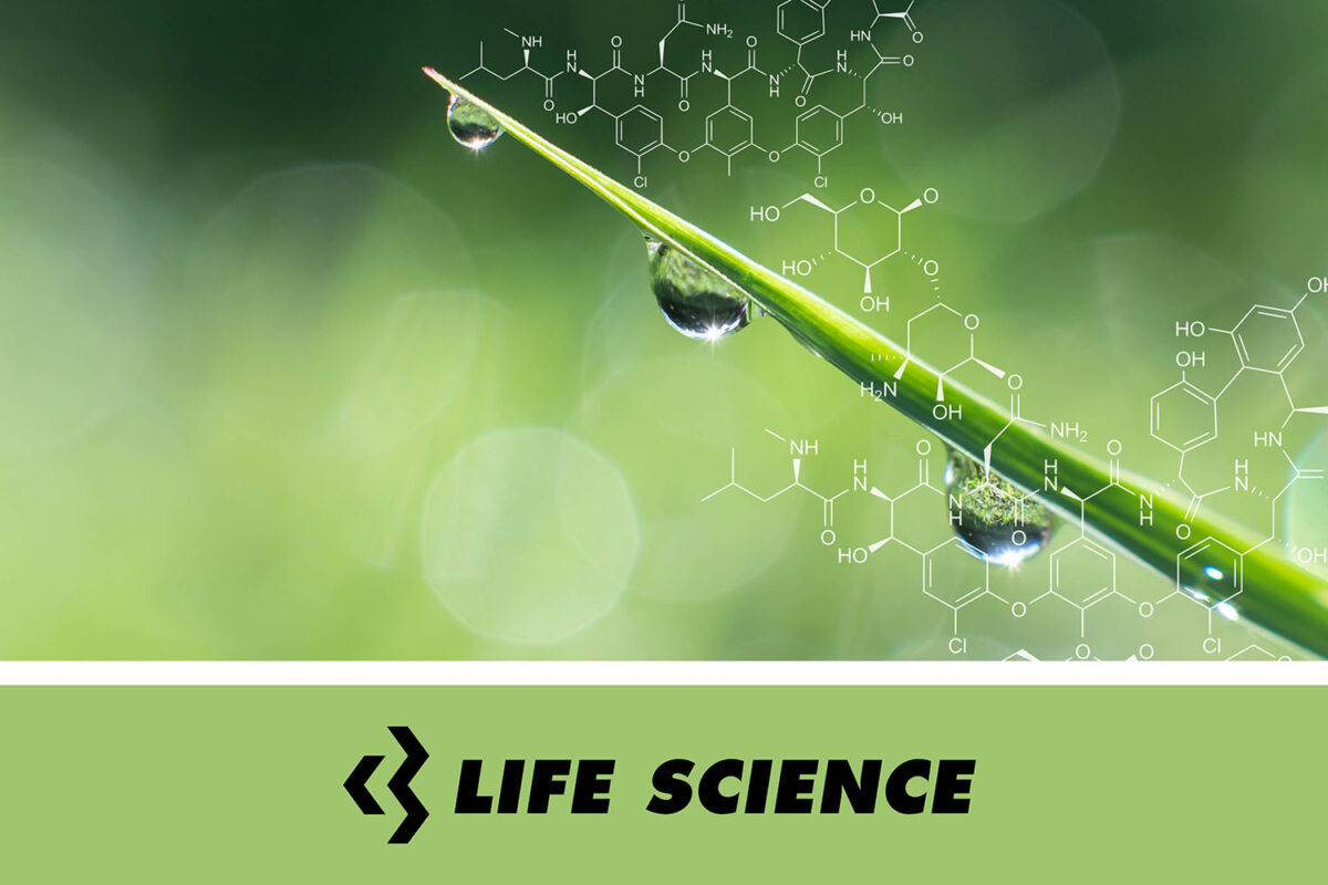 Life Science Images - Free Download on Freepik